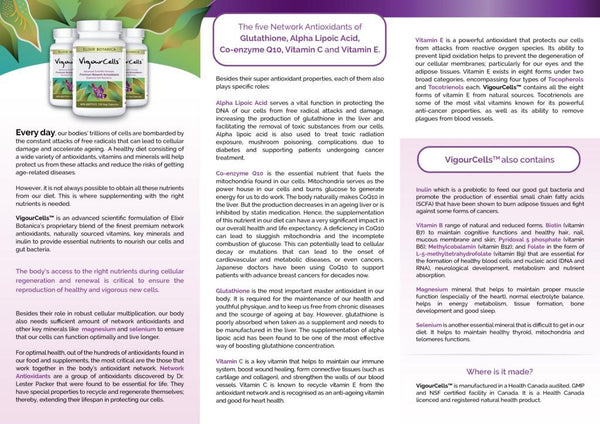 VigourCells™ (120 capsules)
