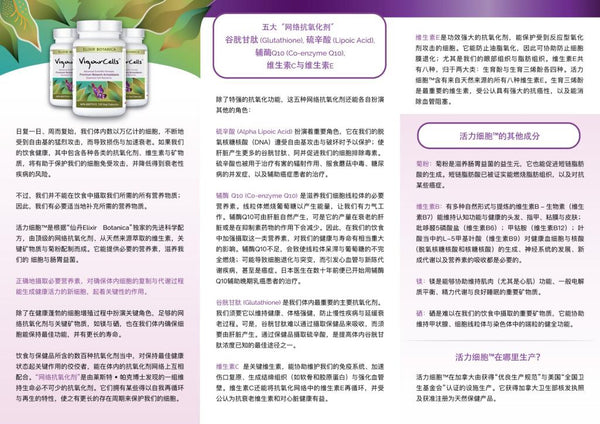 VigourCells™ (120 capsules)